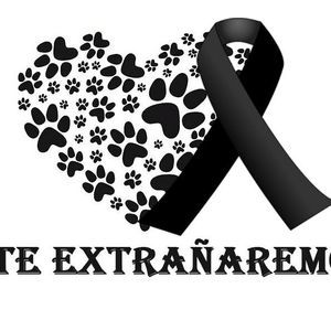 Meet your Posher, Norma